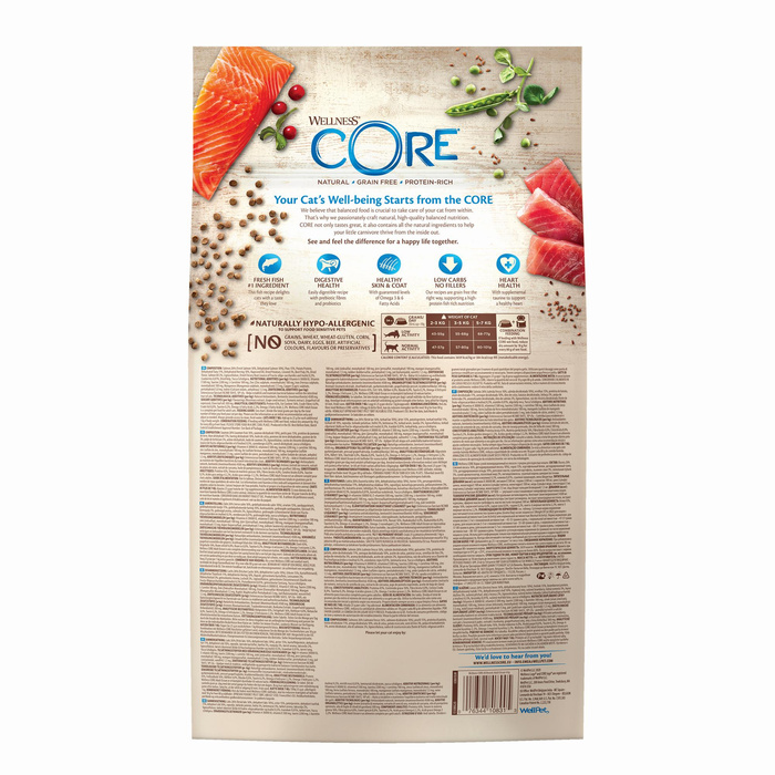 Wellness Core Ocean Salmon d/kota łosoś i tuńczyk 4 kg + niski Drapak