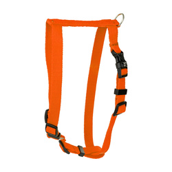 Barry King Szelki Classic pomarańczowe XS-S 10mm/30-40cm