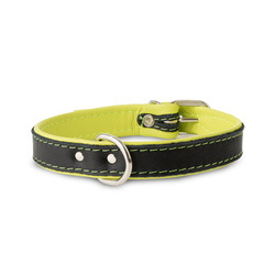 Barry King Obroża Skóra Łoś 20mm/35cm limonka