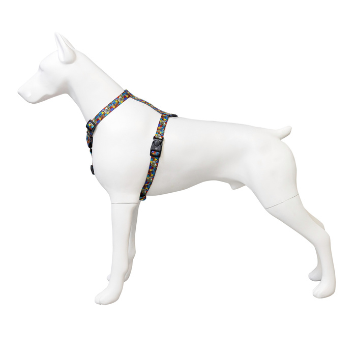 Barry King Szelki taśma dla psa Dream Party 20mm/50-80cm