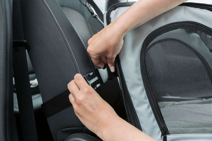 Trixie Fotel samochodowy dla psa szary/czarny 44x37x40cm