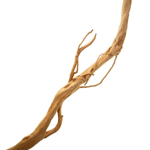 TerraNatura Drewno Antler Wood Branch