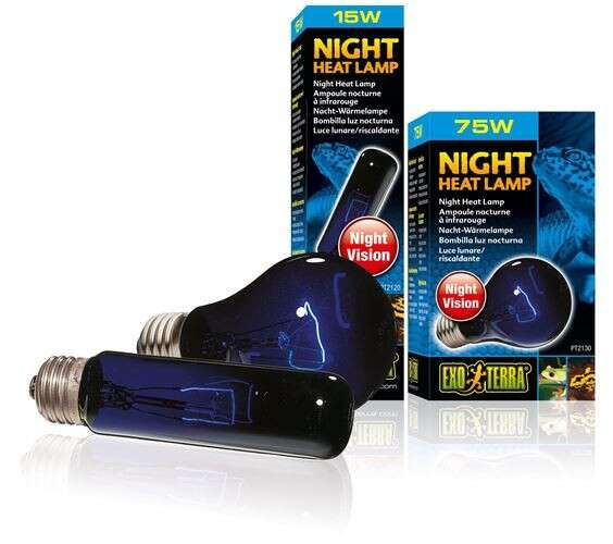 ExoTerra Żarówka Night Heat Lamp T10/15W