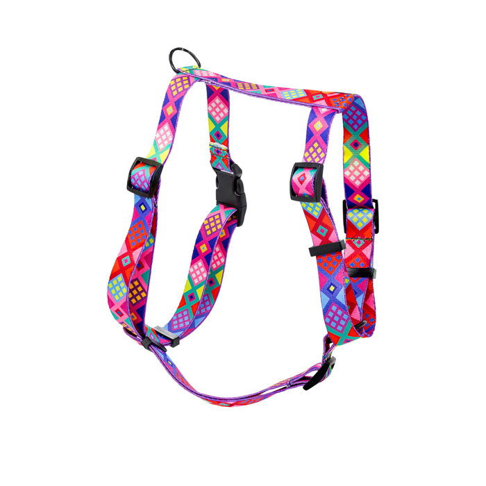 Barry King Szelki taśma dla psa Peru 20mm/50-80cm