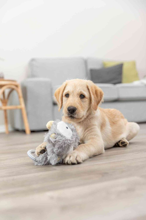 Trixie Junior zabawka wisząca dla szczeniąt plusz/bawełna 33cm szeleszcząca