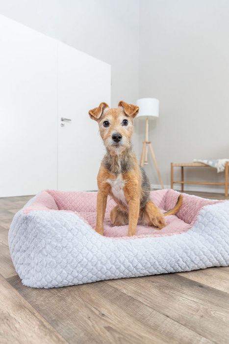 Trixie Kaline Mio Legowisko z Brzegiem Szaro-Różowe 50x40cm