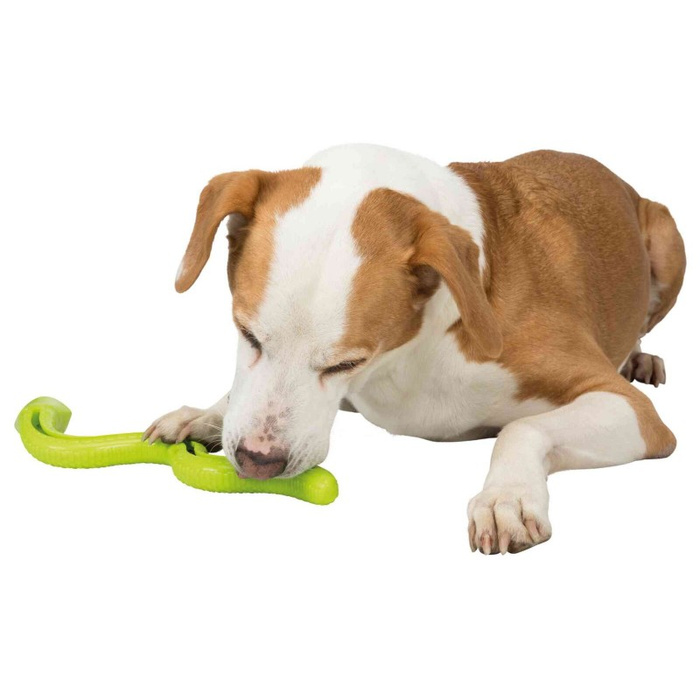 Trixie Wąż na Smakołyki Zielony Snack-Snake TPR 42 cm