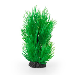 Aqua Natura Roślina do dekoracji akwarium zielona plastikowa 20cm skrzyp morski