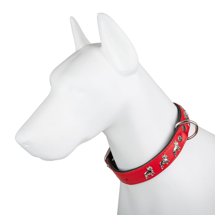 Barry King Obroża wzór super bulldog franciski 30mm/45cm czerwono/czarna