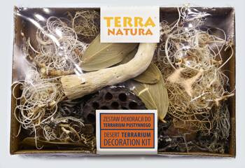 TerraNatura Zestaw dekoracji do terrarium pustynnego