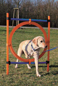 Trixie Fun Agility obręcz zręcznościowa 65x115cm