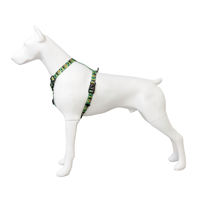 Barry King Szelki taśma dla psa Tropical 25mm/60-100cm