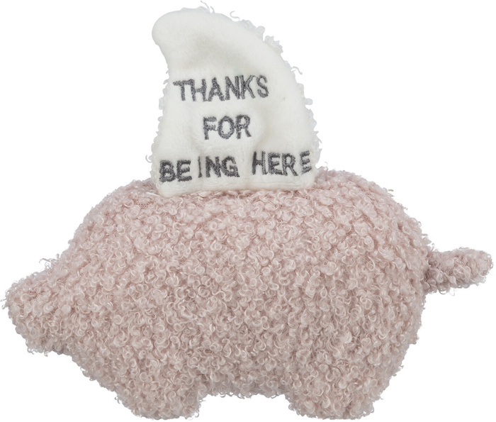 Trixie Junior Świnka zabawka dla szczeniąt plusz 13cm