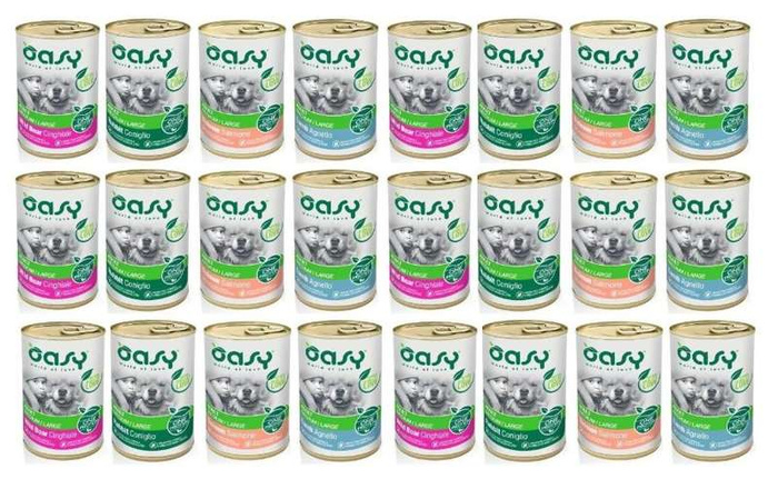 OASY Oneprotein Adult Mix Smaków 24x400g