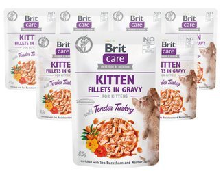 Brit Care Kitten Tender Turkey filety z kurczaka w sosie 12x85g