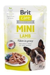 Brit Care Mini Pouch jagnięcina 85g