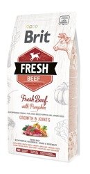 Brit Fresh Beef Pumpkin Puppy Large 2,5kg