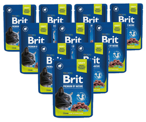 Brit Premium Sterilised jagnięcina w sosie 24x100g