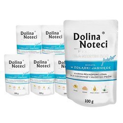 Dolina Noteci JUNIOR bogata w żołądki jagnięce 10x100 g