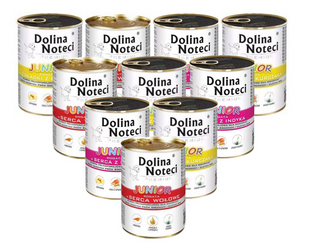 Dolina Noteci Junior Mix Smaków 24x400g