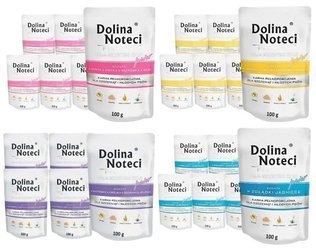 Dolina Noteci Premium Junior Mix Smaków 20x100 g