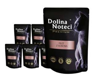 Dolina Noteci Premium filet z łososia 10x85g