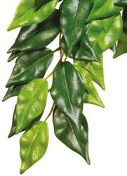 ExoTerra Roślina sztuczna – Silk Ficus, S