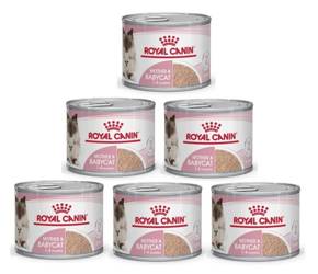 Royal Canin Babycat mus dla kociąt 6x195g