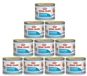 Royal Canin Starter Mother & Babydog 10x195g