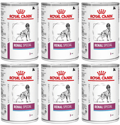 Royal Canin Veterinary Diet Renal Special 6x410g