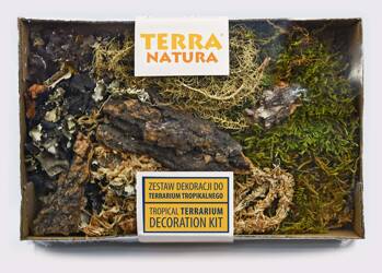 TerraNatura Zestaw dekoracji do terrarium tropikalnego