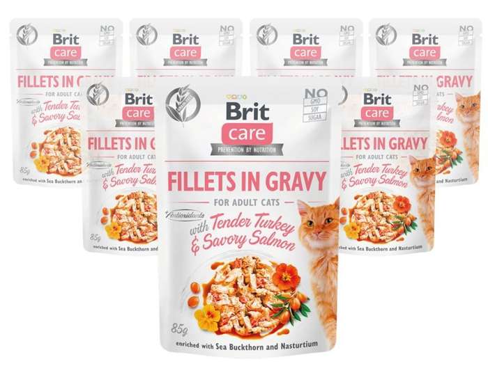 Brit Care Cat z łososiem i indykiem 12x85g