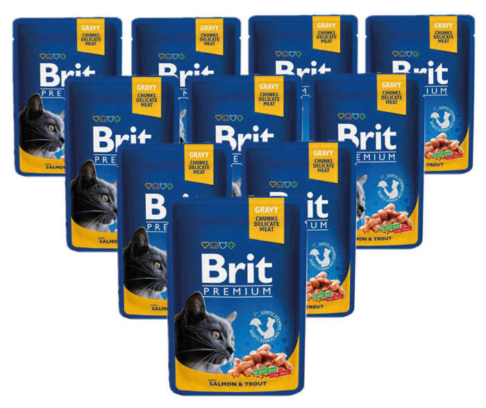 Brit Premium Adult łosoś z pstrągiem w sosie 100g