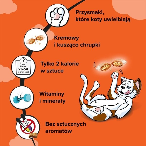 Dreamies z wyśmienitym kurczakiem 60g