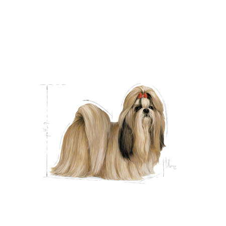 Royal Canin Shih Tzu Adult 1,5kg