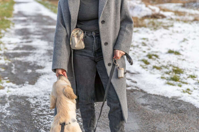 Trixie Pojemnik na woreczki na odchody 1 rolka/15 woreczków jasnoszary