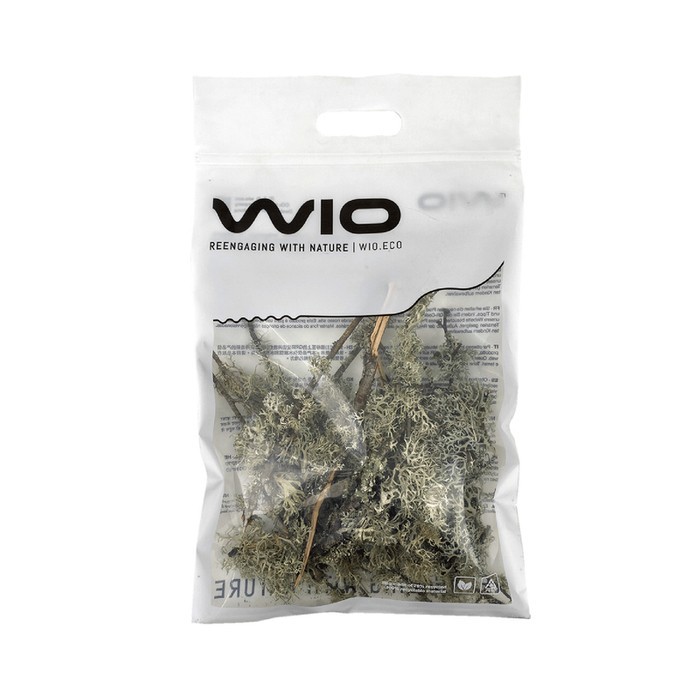 WIO Branches Lichen porost dekoracyjny patykowaty 0,1kg