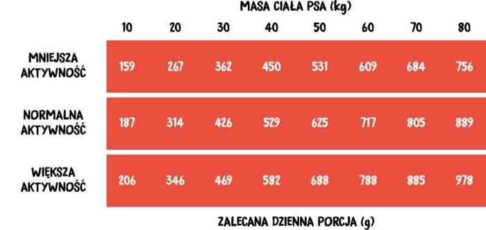 Wiejska Zagroda wołowina z indykiem dla psa 2kg