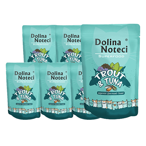 Dolina Noteci Superfood pstrąg i tuńczyk 10x85g