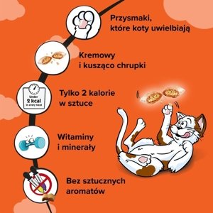 Dreamies z wyśmienitym kurczakiem 60g