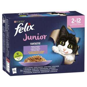 Felix Fantastic Junior Kurczak 12x85g