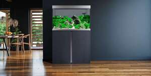 Fluval Szafka do zestawu Siena 270 antracyt 90x55x73cm