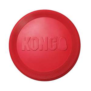 KONG Flyer L