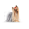 Royal Canin Yorkshire Terrier Adult 7,5kg