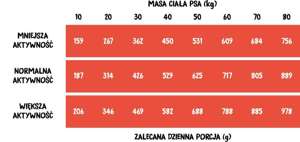 Wiejska Zagroda wołowina z indykiem dla psa 2kg